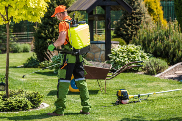 Best Residential Pest Control  in Bellevue, MI